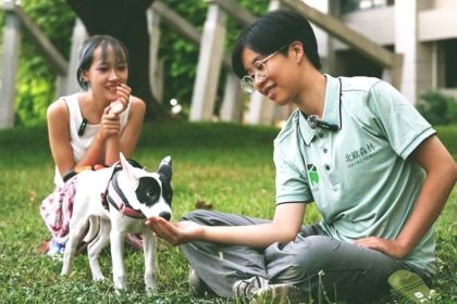 寵物團課