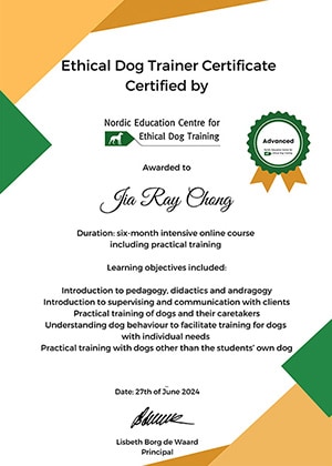 佳芮NDT_Level 3_certificate_Advanced 佳芮NDT_Level 3_certificate_Advanced