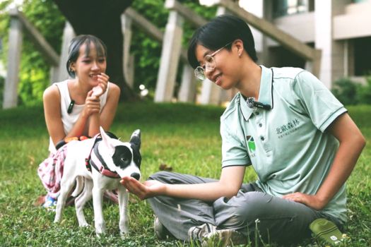 【北歐寵物訓練到府訓犬參考價目表🐕】