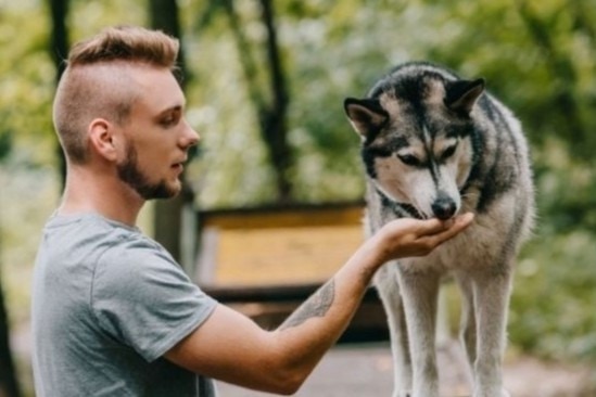 【你也想成為寵物訓練師嗎? 】