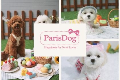 【新品上架】來自歐爸歐膩的故鄉 寵物精品品牌 ParisDog 開賣!