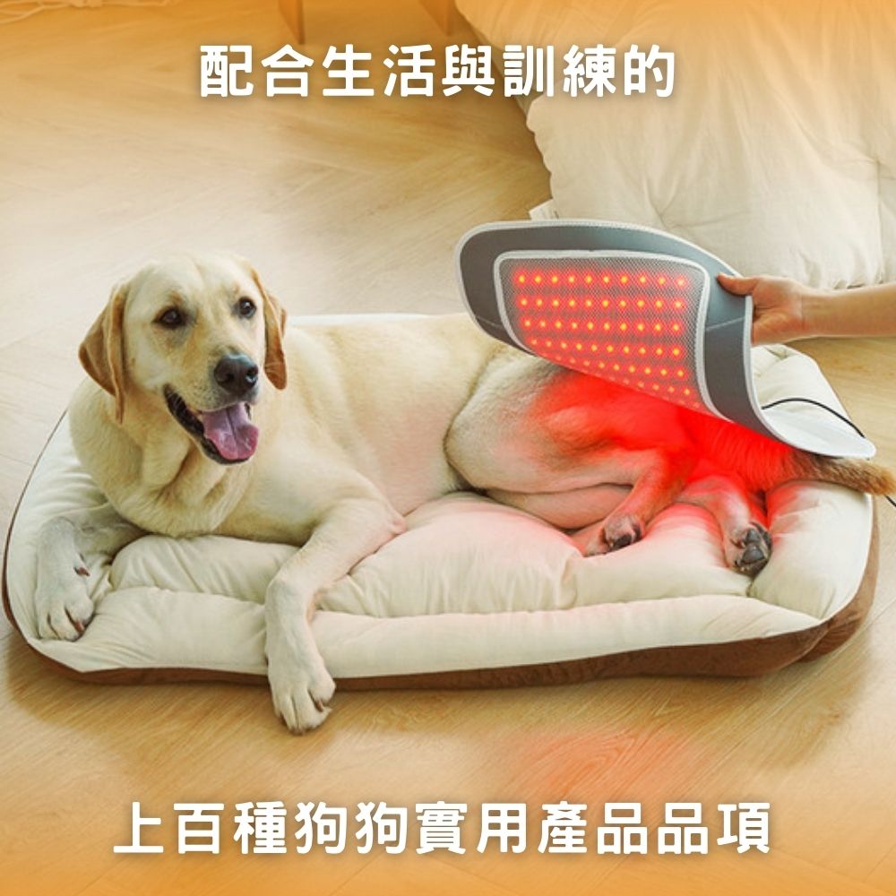 狗狗小天地