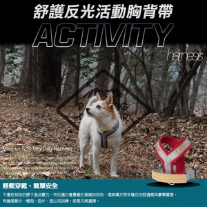 韓國【ParisDog】舒護反光活動胸背帶(L、XL)