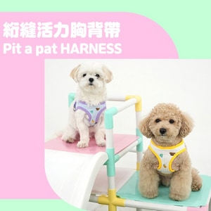 韓國【ParisDog】絎縫活力胸背帶