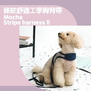 韓國【ParisDog】條紋舒適工學胸背帶