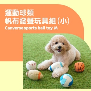 韓國【ParisDog】運動球類帆布發聲玩具組 (小) 款式隨機出貨