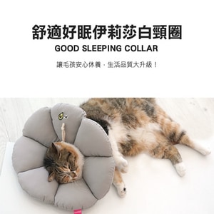韓國【ParisDog】舒適好眠伊莉莎白頸圈