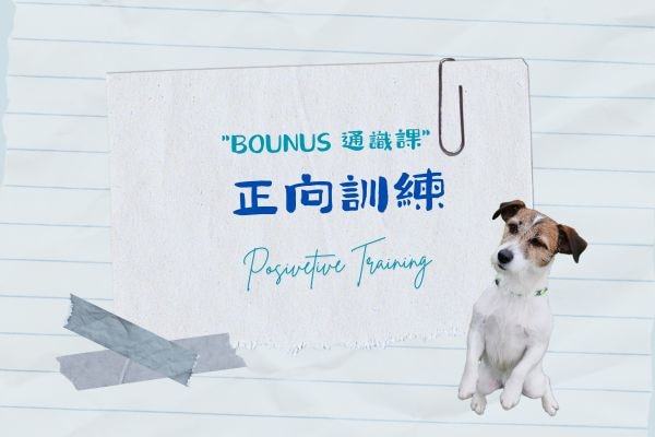 響片訓練 (7)