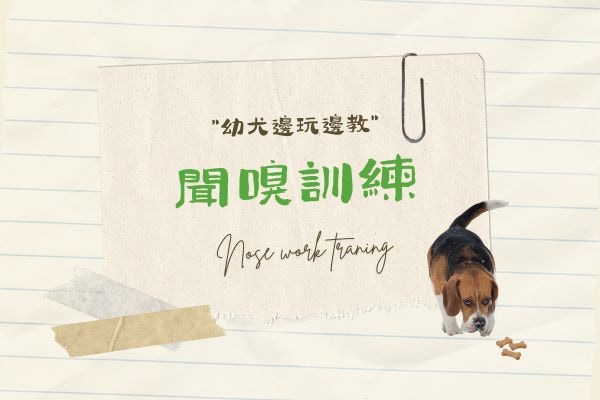 響片訓練 (8)