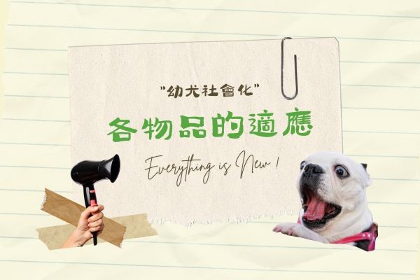 響片訓練 (16)
