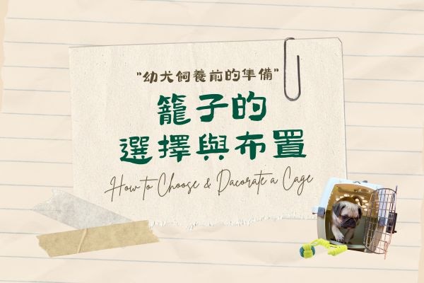 響片訓練 (13)