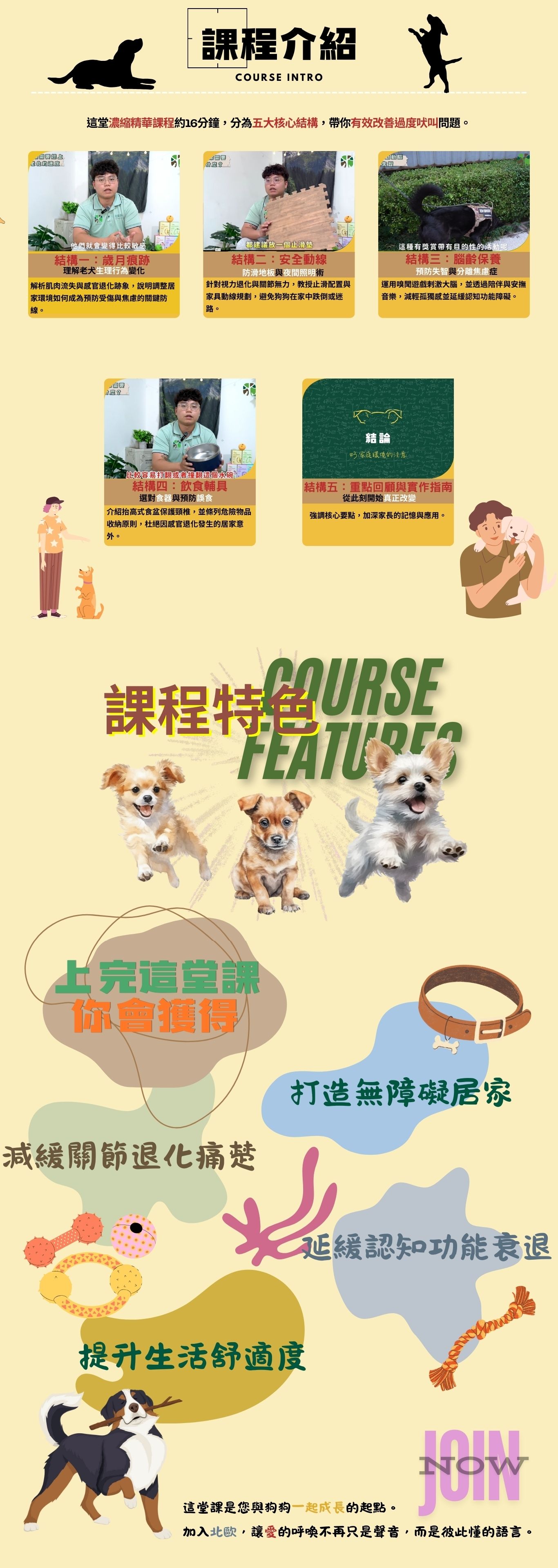 老犬家庭環境