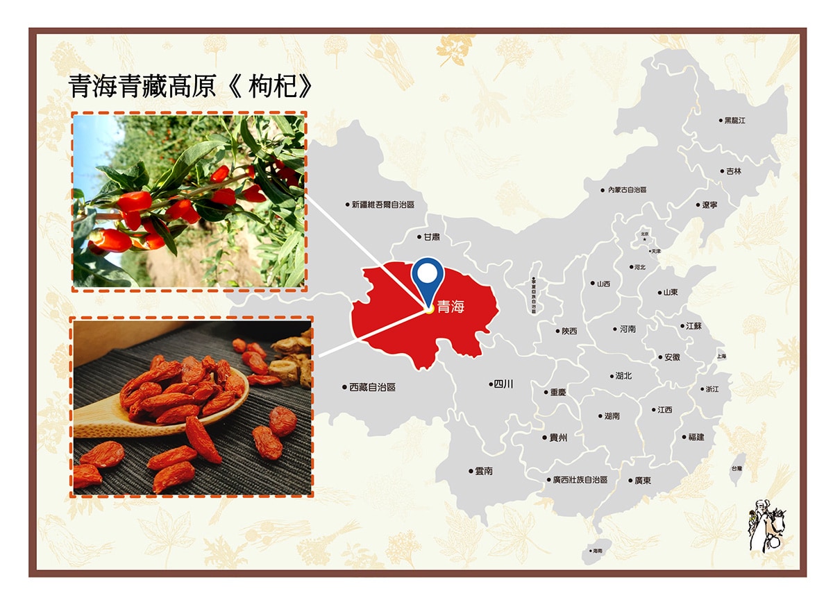 青海青藏高原枸杞