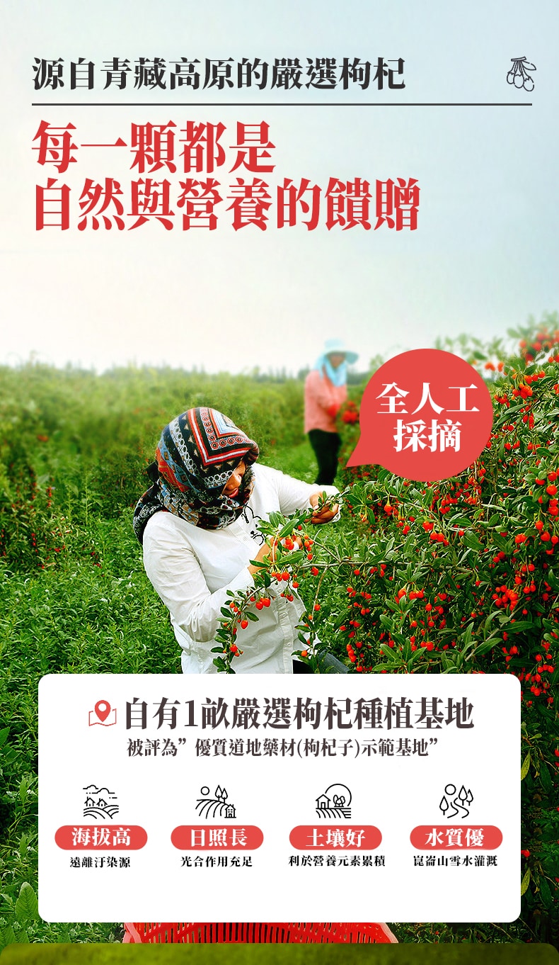 工作區域 4