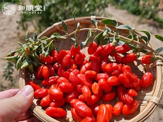 枸杞原汁(1盒)第2張小圖