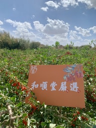 青海枸杞(1盒)+枸杞原汁(1盒)第2張小圖