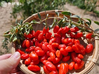 枸杞原汁(2盒)第2張小圖