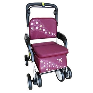 富士康 鋁合金散步車 有扶手可置物 FZK-318 